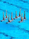 FINA World Championship  2009 Royalty Free Stock Photo