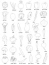 Collection of various hand drawn vegetables, black outlines isolated on a white background. Royalty Free Stock Photo