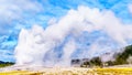 Eruption of the famous Old Faithful Geyser, a Cone Geyser in the Upper Geyser Basin, in Yellowstone National Park Royalty Free Stock Photo