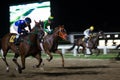 Final stage of a horse rac Hipodromo de Palermo