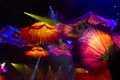 Le Reve Abstract Flower Royalty Free Stock Photo