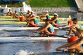 The finals in rowing Royalty Free Stock Photo