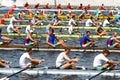 The finals in rowing. Royalty Free Stock Photo