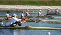 The finals in rowing Royalty Free Stock Photo