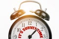 On the dial of the alarm clock the inscription - IT S SURVEY TIME Royalty Free Stock Photo