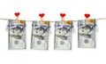 Finance concept - dollar banknotes hanging on rope attached with love clothes pins