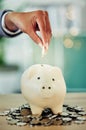 Finance growth, saving money and coins in a piggy bank for the best investment strategy a banking service, contact us