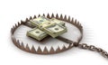 Finance risk concept. Money on bear trap.