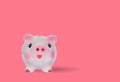 Finance, saving money, pink piggy bank for finance concept.