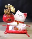 Finance savings lucky fortune cat money tree coin bank