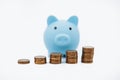Finance Savings, save money for future investments and for emergency use concept. A blue piggybank and coin tower on