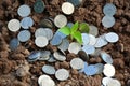 Finance stack coins around the green plant on soil and nature background