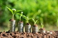 Finance stack coins and the green plant on soil and nature background Royalty Free Stock Photo