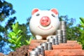 Finance stack coins and piggy bank on nature background Royalty Free Stock Photo