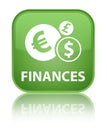 Finances (euro sign) special soft green square button Royalty Free Stock Photo