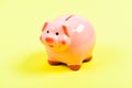 Finances and investments bank. Bank deposit. Financial education. Piggy bank adorable pink pig close up. Accounting and