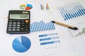 Financial accounting graphs analysis Royalty Free Stock Photo