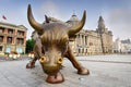 Financial Bull in Shanghai