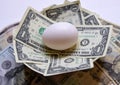 Financial concept of a nest egg