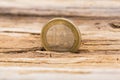 Financial crisis concept. Euro coin on old wooden background Royalty Free Stock Photo