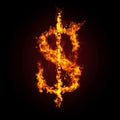 Financial crisis. Dollar in fire