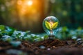 Financial ecology Light bulb, globe, and small tree symbolize business energy