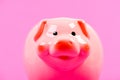 Financial education. Finances and investments bank. Better way to bank. Piggy bank symbol of money savings. Piggy bank