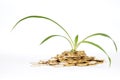 Financial fertilizer Royalty Free Stock Photo