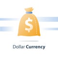 Financial fund, money sack, dollar currency bag, fast loan, easy cash