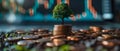 Financial Growth Concept with Coins and Sapling. Concept Financial Growth, Coins, Sapling,