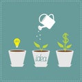 Financial growth concept. Idea bulb seed, watering Royalty Free Stock Photo