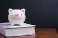 Financial knowledge, saving and investing education or scholarship  concept, pink smiling piggy bank on textbook on wooden table Royalty Free Stock Photo