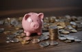 Financial Literacy from Childhood - Piggy Banks Teaching Savings Royalty Free Stock Photo