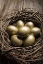 Financial Nest Egg and Building Additional Wealth and financial planning