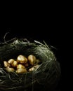 Financial Nest Egg Royalty Free Stock Photo