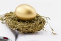 Financial Nest Egg on Open Ledger Royalty Free Stock Photo