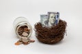 Bird nest with 100 dollar bills.