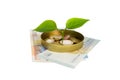 Financial planning, money seeding and growth concept. A small green plant growing out of coins and euro banknotes Royalty Free Stock Photo