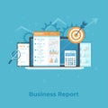Financial report, business results inspection research planning analysis audit calculation. Laptop, documents, graphics, charts. Royalty Free Stock Photo