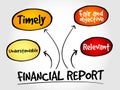 Financial report mind map Royalty Free Stock Photo