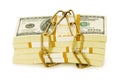 Financial security concept Royalty Free Stock Photo