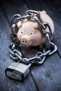 Bank Financial Security Piggybank