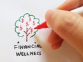 Financial Wellness. Financial Wellbeing. Tips to better manage your finance. Budgeting, Savings Plan, Emergency Fund, Insurance an