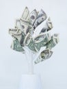 Financial advisory Concept Money Tree with a Silver Key