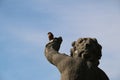 Finch on the arm of the statue