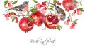 Finch pomegranate border Royalty Free Stock Photo