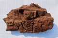 Find of archaeological excavations settled on the sheet of paper. Wooden artefact, remains part of ancient tomb found in catacom