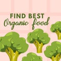 Find best organic food, premium broccoli banner