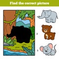Find the correct picture. Little elephant and background