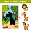 Find the correct picture. Little giraffe and background